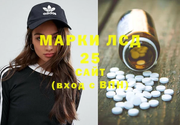 стаф Арсеньев