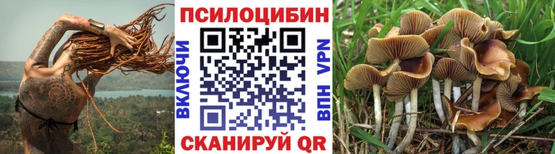 Галлюциногенные грибы Psilocybine cubensis  Тавда 